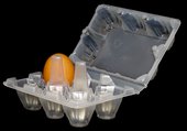 6-egg-tray.jpg